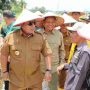 Gubernur Lampung Arinal Djunaidi melakukan Panen Raya Padi dalam rangka mendukung ketersediaan pangan menghadapi iklim El Nino di Kampung Ratna Chaton, Kecamatan Seputih Raman Kabupaten Lampung Tengah || Foto: Dinas Kominfo dan Statistik Provinsi Lampung