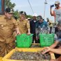 Gubernur Arinal menyambangi para petani udang Dipasena di Kabupaten Tulang Bawang || Foto: Dinas Kominfotik Provinsi Lampung