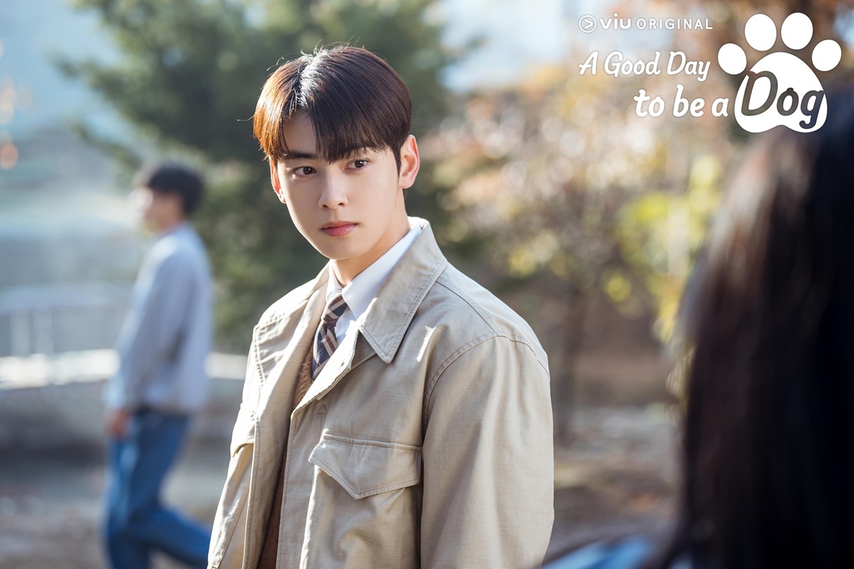 drama Cha Eun Woo