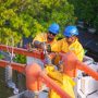 PLN memajukan jadwal pemeliharaan jaringan listrik sebelum masa siaga untuk memastikan masyarakat dapat merayakan Natal dan tahun baru secara nyaman || Foto: PLN