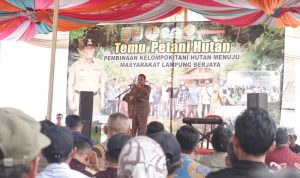 Gubernur Lampung Ajak KTH Jaga Kawasan Hutan