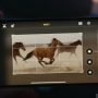 Apple iPhone 12 Pro 256 GB Second (Photo Youtube Apple UAE) 5W1HINDONESIA.ID
