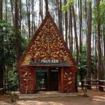 Hutan Pinus Asri: Rute, Harga Tiket & Daya Tariknya