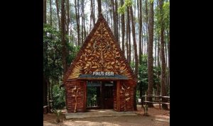 Hutan Pinus Asri: Rute, Harga Tiket & Daya Tariknya