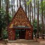 Hutan Pinus Asri (Photo TripAdvisor) 5W1HINDONESIA.ID