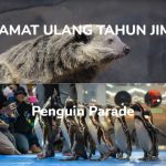 Jakarta Aquarium Safari, Ada 10+ Hal Baru Disini Tiap Bulannya!