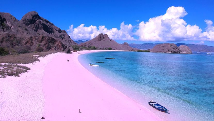 Pink Beach di Labuan Bajo (Photo Flores Holiday Indonesia) 5W1HINDONESIA.ID