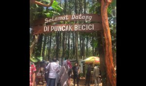 Puncak Becici: Rute, Harga Tiket, Daya Tarik & Aktivitasnya