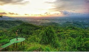 Watu Goyang: Rute, Harga Tiket & Daya Tariknya