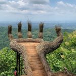 Wisata Alam Pinus Pengger: Rute, Harga Tiket, Daya Tarik & Aktivitasnya