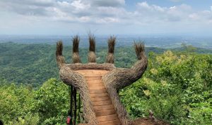 Wisata Alam Pinus Pengger: Rute, Harga Tiket, Daya Tarik & Aktivitasnya