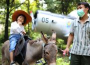 Gembira Loka Zoo Yogyakarta, Kebun Binatang Terbesar yang Lagi Viral 2024