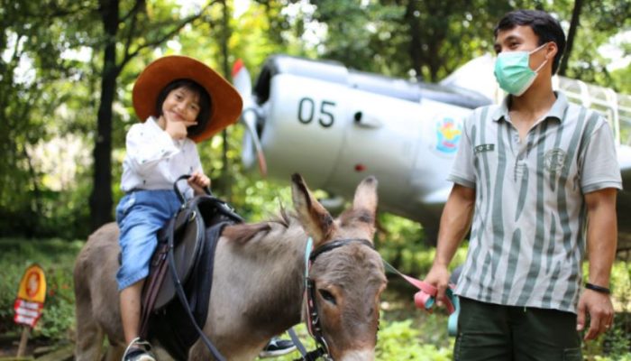 Gembira Loka Zoo Yogyakarta, Kebun Binatang Terbesar yang Lagi Viral 2024