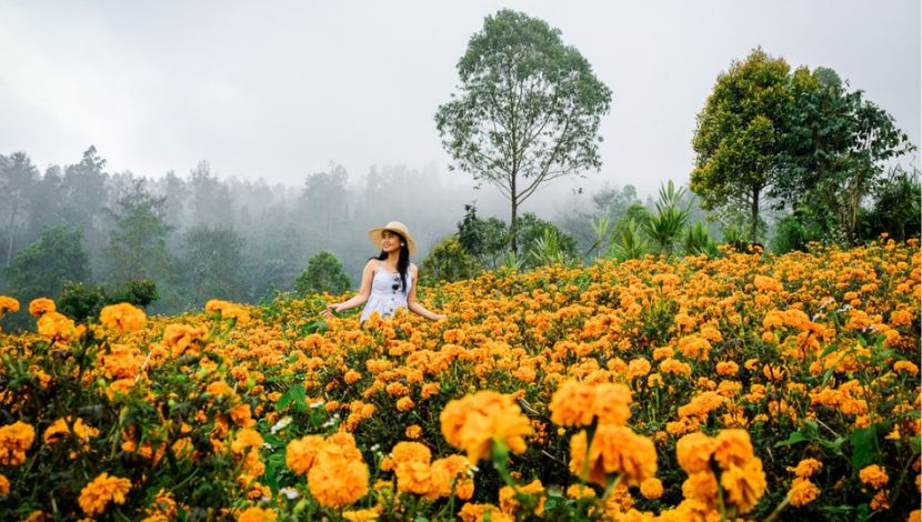 Gemitir Garden (Photo Good News From Indonesia) 5W1HINDONESIA.ID