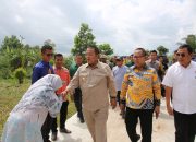 Kunker ke Mesuji, Gubernur Lampung Pantau Sejumlah Jalan dan Jembatan