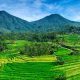 Jatiluwih Rice Terraces Bali (Photo Klook) 5W1HINDONESIA.ID
