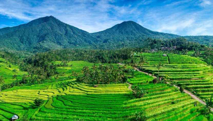 Jatiluwih Rice Terraces Bali (Photo Klook) 5W1HINDONESIA.ID