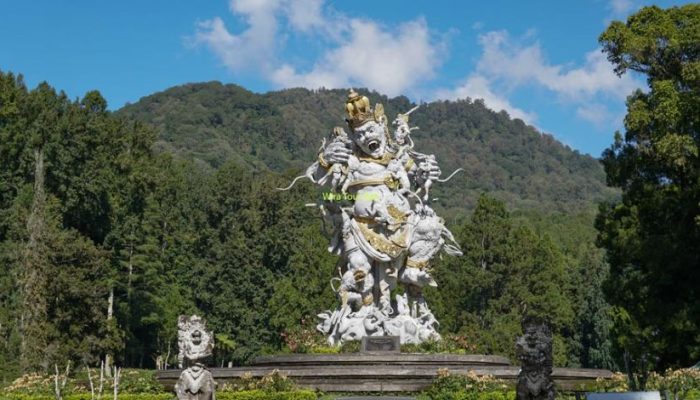 Kebun Raya Bali, Kamu Bisa Lihat Koleksi Berbagai Tanaman Unik Disini