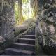 Monkey Forest Ubud (Photo Monkeyforestubud.com) 5W1HINDONESIA.ID