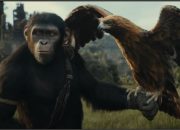 Review Film Kingdom of the Planet of the Apes (Photo Youtube 20th Century Studios) 5W1HINDONESIA.ID