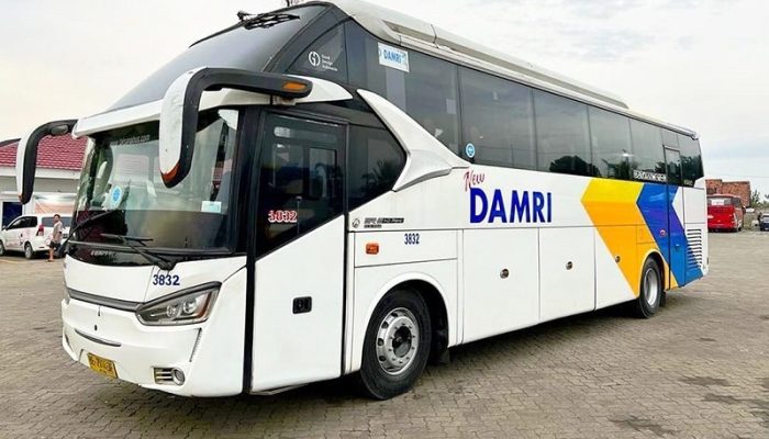 DAMRI Rute Jakarta-Malang Sediakan Keberangkatan Pagi, Berikut Jadwal dan Harga Tiketnya