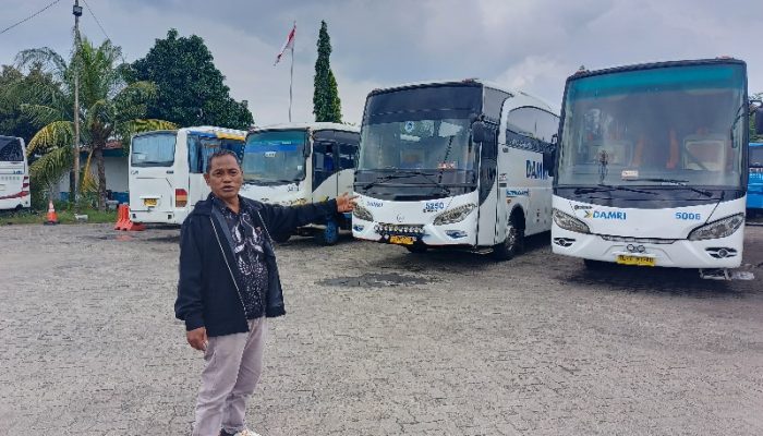 Tiket Damri Lampung Sudah Bisa Dipesan Untuk Keberangkatan H-10 Lebaran