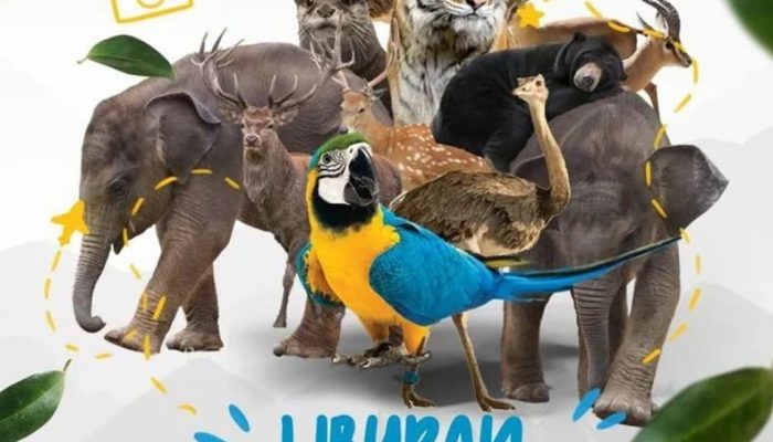 Lembah Hijau Lampung: Liburan Hemat dan Berkesan? Cek di Sini!