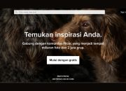 Situs Penyedia Gambar 100% GRATIS