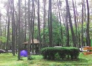 Taman Hutan Wisata Punti Kayu Palembang (Photo KSMTour) 5W1HINDONESIA.ID