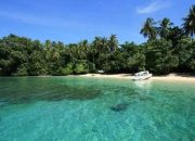Taman Nasional Teluk Cendrawasih Papua, Bisa Lihat Paus Bungkuk Sepuasnya