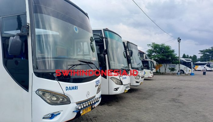 Daftar Harga Tiket DAMRI Lampung Resmi 2024