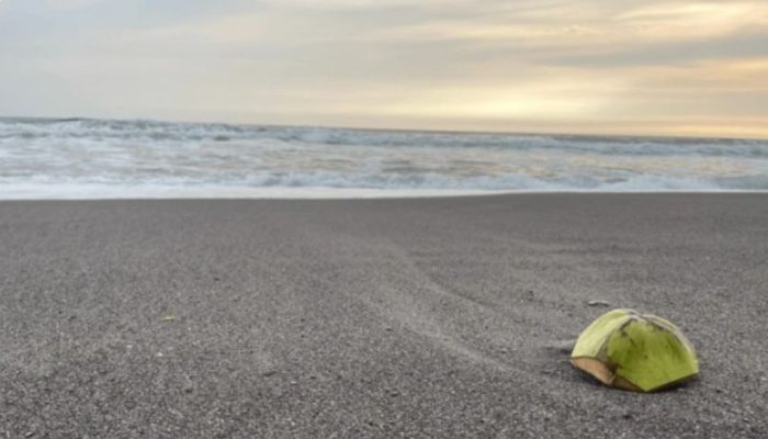 Pantai Depok Yogyakarta: Jam Buka, Rute, Harga Tiket Masuk & Daya Tariknya
