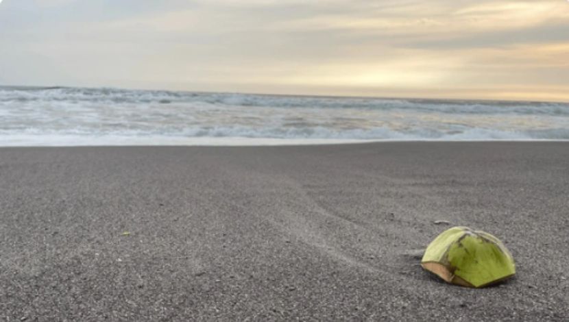 Pantai Depok Yogyakarta (Photo Youtube berbagifun) 5W1HINDONESIA.ID