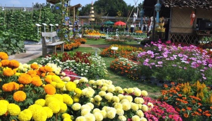 Taman Begonia Bandung: Jam Buka, Rute, Harga Tiket Masuk & Daya Tariknya