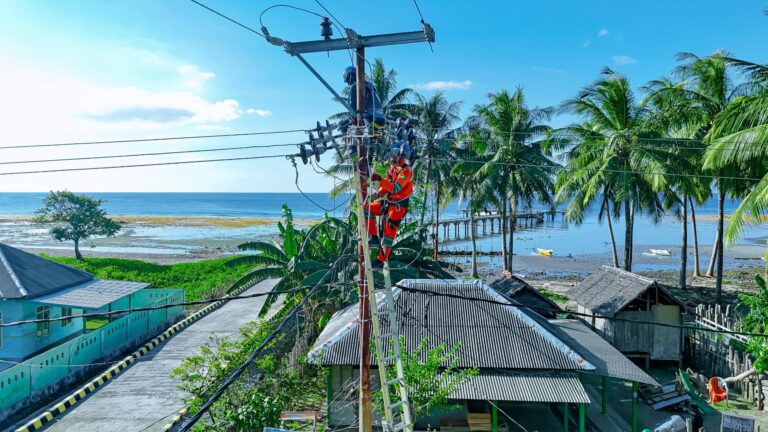 Petugas PLN melakukan penggantian material jaringan listrik untuk meningkatkan layanan listrik dari 12 jam menjadi 24 jam di Desa Sebotok, Sumbawa || Foto: Dok. PLN
