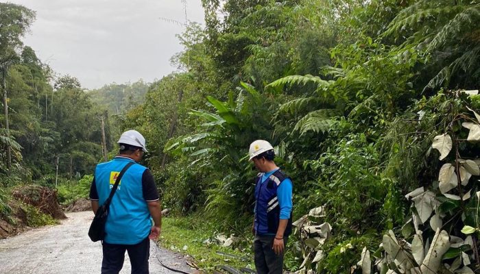 PLN Gerak Cepat Tangani Kelistrikan Dampak Longsor di Suoh Lampung Barat