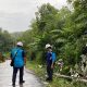 Tim menginventarisasi kerusakan Jaringan Listrik Tegangan Menengah akibat longsor || Foto: Dok. PLN UP3 Pringsewu
