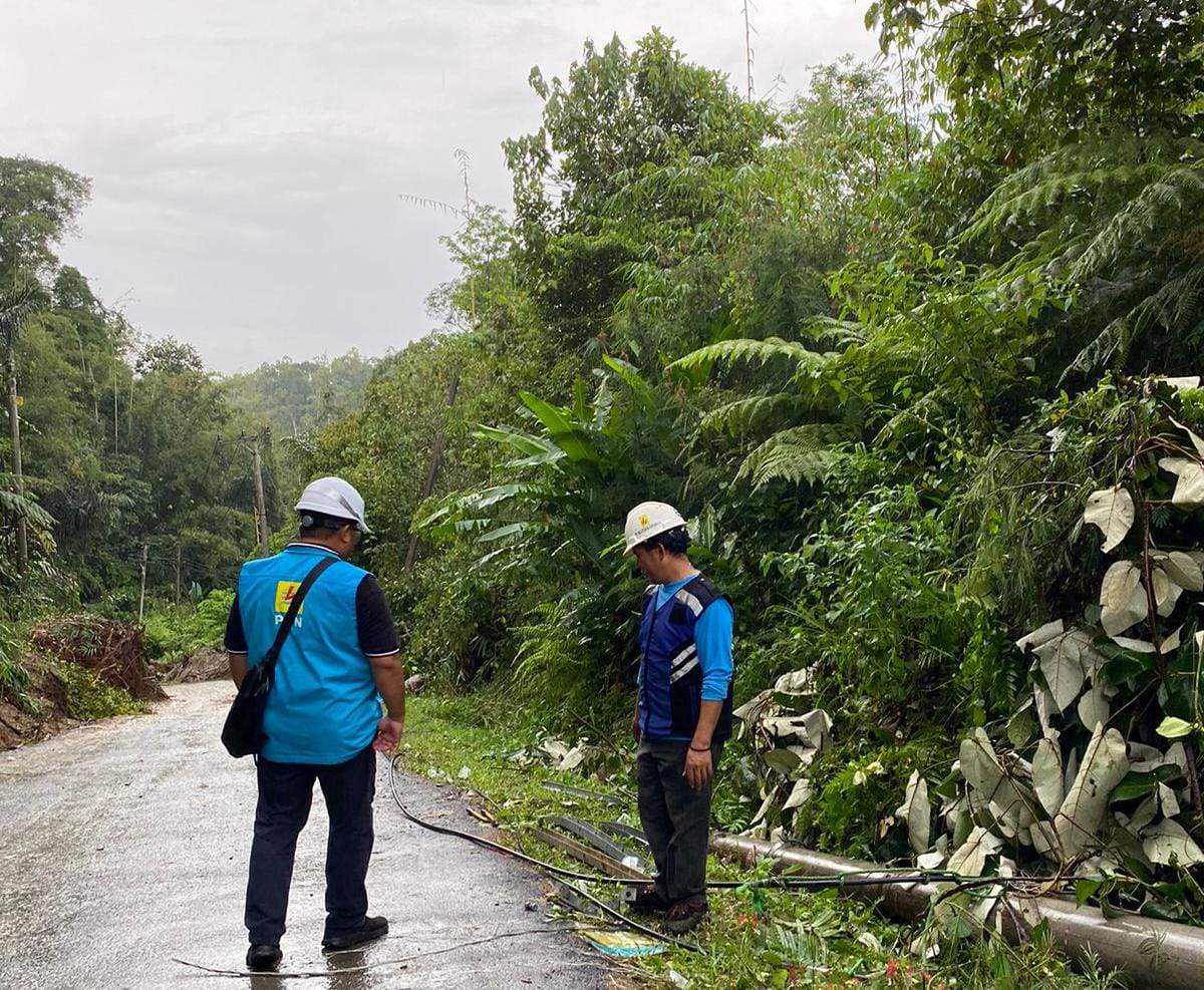 Tim menginventarisasi kerusakan Jaringan Listrik Tegangan Menengah akibat longsor || Foto: Dok. PLN UP3 Pringsewu