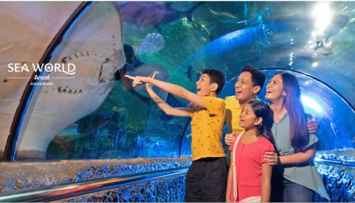 Sea World Ancol: Jam Buka, Rute, Harga Tiket Masuk & Daya Tariknya