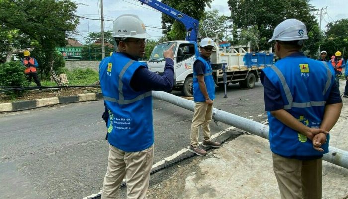 Pohon Tumbang Sebabkan Tiang Listrik Patah, PLN UID Lampung Gerak Cepat Normalkan Pasokan Listrik