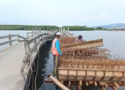 Eva Dwiana Pastikan Jembatan Pulau Pasaran Rampung dan Segera Diresmikan
