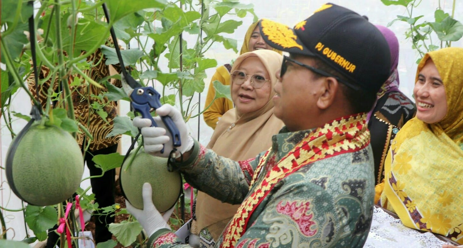 Pj. Gubernur Lampung Samsudin meresmikan Gedung Baru Pos Kesehatan Desa (Poskesdes) Tanher Jaya dan panen melon hasil budi daya ibu-ibu Kelompok Wanita Tani (KWT) Bunga Tanjung, Pekon Tanjung Heran, Kecamatan Pugung, Kabupaten Tanggamus || Foto: Adpim Pemprov Lampung