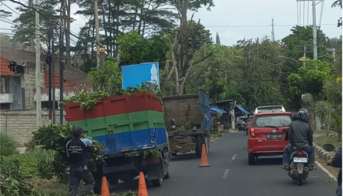 Peringati Hari Sumpah Pemuda, PLN dan DLH Kolaborasi Amankan Pengendara dan Jaringan Listrik dari Bahaya Pohon
