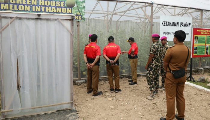 Pj Gubernur Lampung Kunjungi Budi Daya Melon Hasil Tanaman Prajurit Korps Marinir Brigif 4 Mar/BS