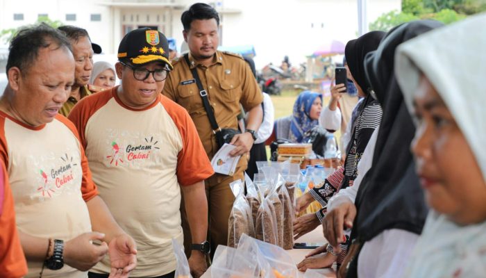 Tangani Inflasi Pangan, Pj Gubernur Samsudin Tanam Cabai di Lampung Timur