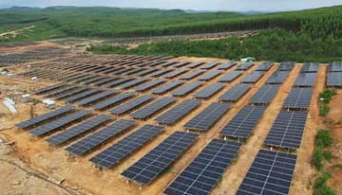 REC PLN Dukung Pemerintah Ciptakan Ekosistem Investasi Berbasis Energi Bersih