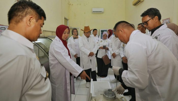 Pj Gubernur Lampung Tinjau Sarana dan Prasarana Balai Inseminasi Buatan