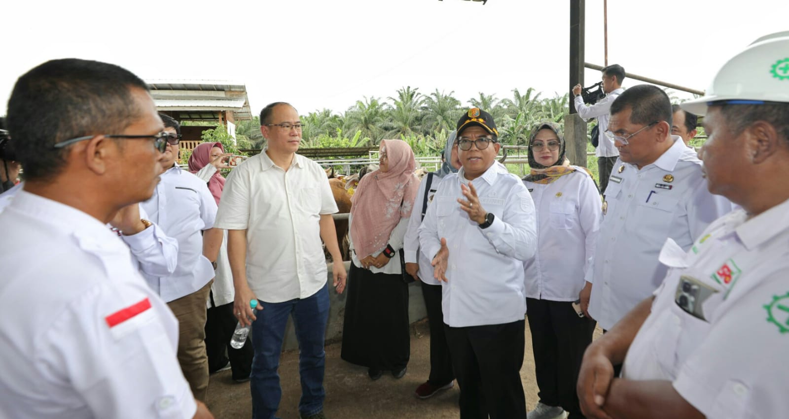 Pj. Gubernur Lampung Samsudin mengunjungi usaha peternakan sapi potong hasil integrasi perkebunan sawit dengan perusahaan peternakan di Desa Candimas, Abung Selatan, Lampung Utara || Foto: Adpim Pemprov Lampung