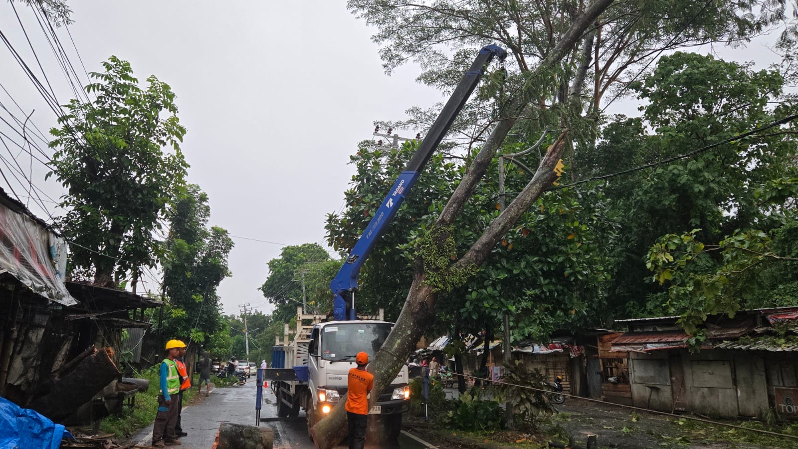 PLN UID Lampung berhasil memulihkan 100 persen sistem kelistrikan pada pukul 21.55 WIB, usai terdampak akibat cuaca ekstrem yang menyebabkan pohon tumbang sehingga mengakibatkan gangguan listrik || Foto: PLN UID Lampung