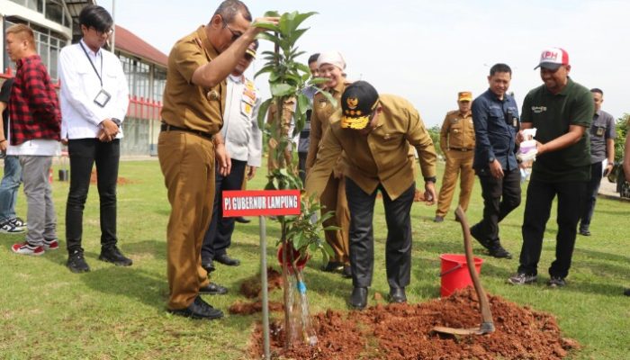 Jaga Keseimbangan Lingkungan, Pj Gubernur Lampung Tanam Pohon di Ruas Tol Bakter